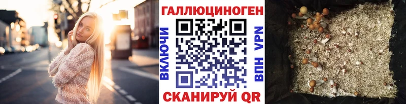 как найти закладки  Белоозёрский  Галлюциногенные грибы мицелий 